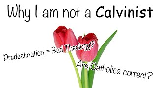 Why I am not a Calvinist