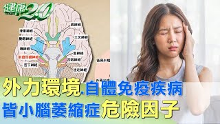 外力環境.自體免疫疾病 皆小腦萎縮症危險因子 健康2.0 @tvbshealth20