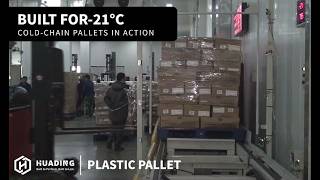 Do Your Plastic Pallets Fit Automated Cold Storage | HUADING Customer Case