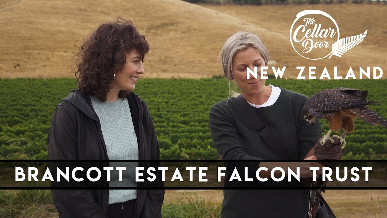 Brancott Estate Falcon Trust The Cellar Door New Zealand YouTube