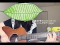 にゃんぞぬデシ/魔法が使えたみたいだった カバー 弾き語り
