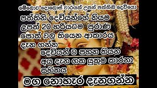 Maniyo Paththini Maniyan Upathe Nawali Niwaradiwa 12 Nowa 20 Niwaradiwa Danaganna