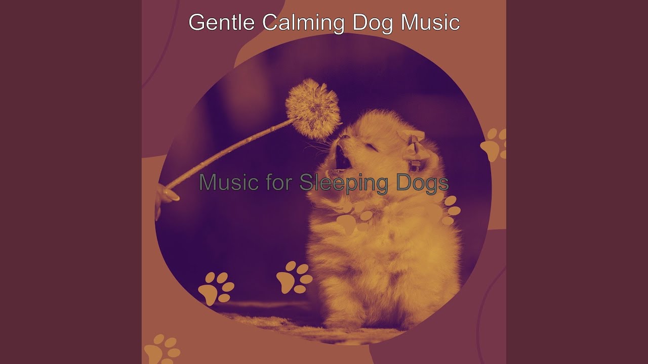 Retro Music for Relaxing Dogs