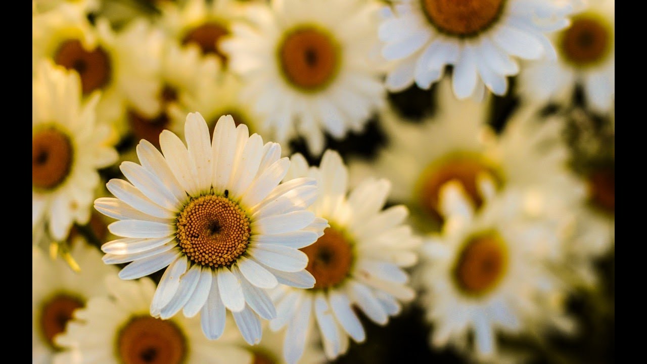 من القلب و ان شاء الله الى القلب -14- / تنظيم الوقت/