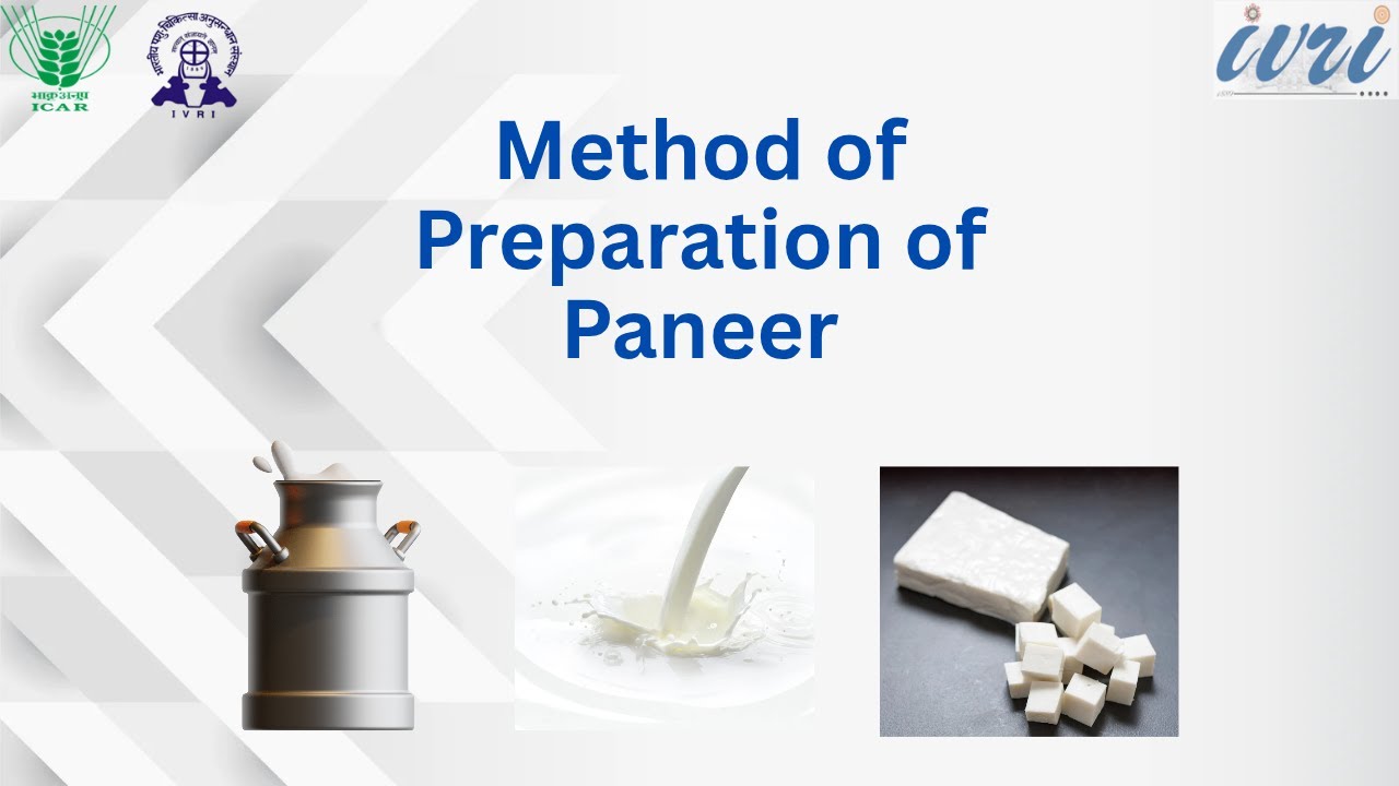 Paneer Process Flowchart Method of Preparation of Paneer || पनीर बनाने की विधि - YouTube