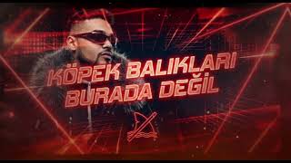 LVBEL C5 KÖPEK BALIKLARI BURDA DEĞİL(SLOWED X REVERB)