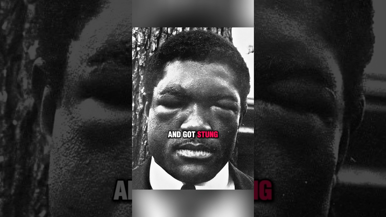 Big Mistake He Refused To Call Muhammad Ali | Muhammad Ali vs Ernie Terrell