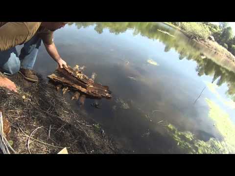 Hardwoodsman Challenge: Floating Fire