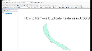 How to Remove Duplicate Feature in ArcGIS