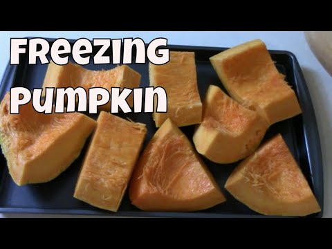 How I Freeze Pumpkins by Making Homemade Pumpkin Puree