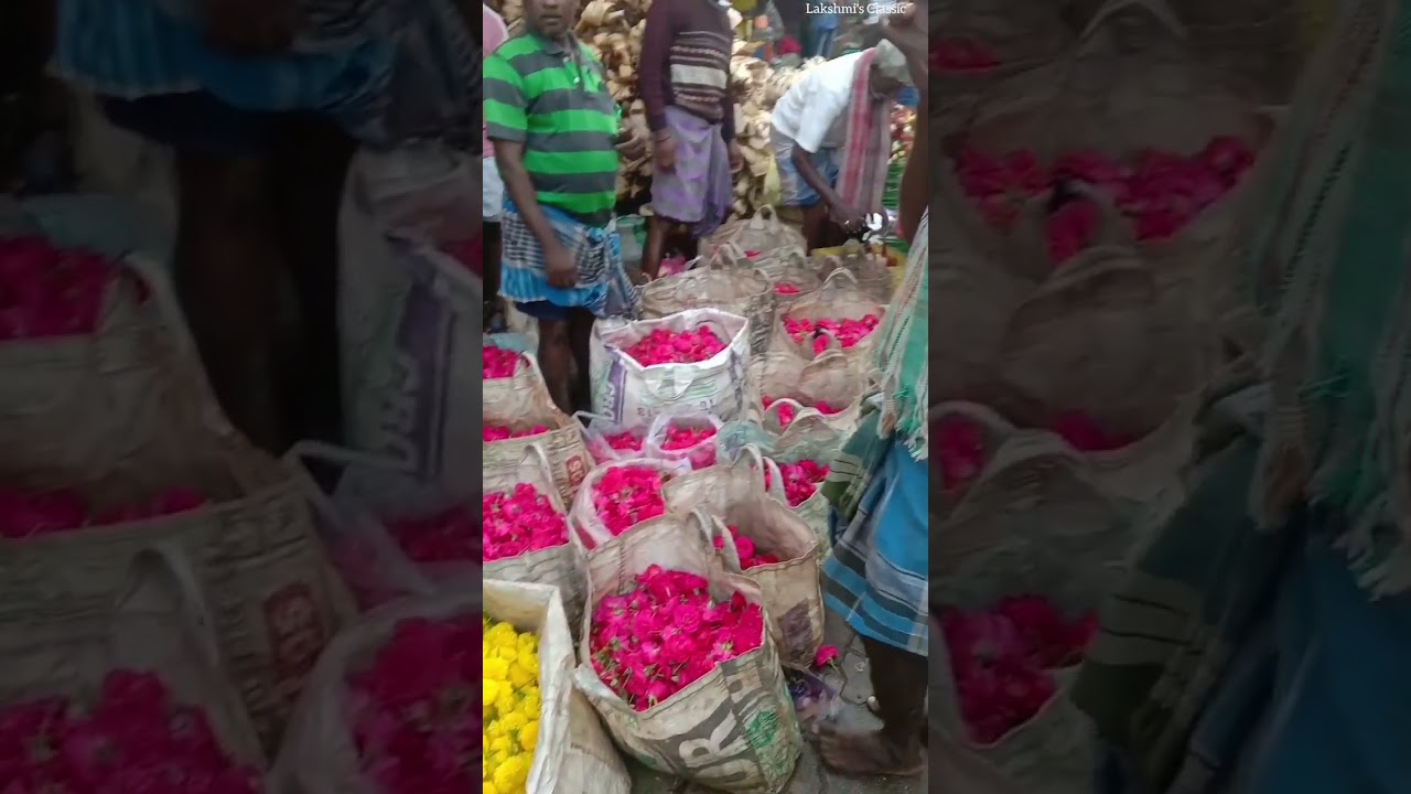 🌷 Flower Market In Madurai, Tamilnadu ✨🌼 | 