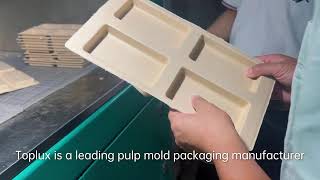 TPI | Green Packaging Revolution | Eco-Friendly & Sustainable Pulp Molding