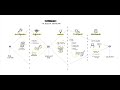 Metodología Design Thinking. ¡Aprende a aplicar sus fases con ejemplos! 😃