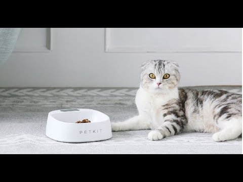 Миска-весы Xiaomi PETKIT