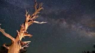 LA MEJOR MUSICA INSTRUMENTAL CHILL OUT  SUAVE Y AGRADABLE OFICINAS CONSULTORIOS screenshot 5