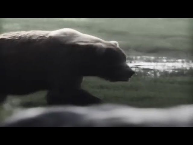 AMERICANO HARDTEKK (Ultra Slowed + Reverb) | The Dark Triad Song | HardTekk