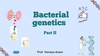 Bacterial Genetic part 2