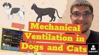 A Practical Approach to Mechanical Ventilation in Small Animals