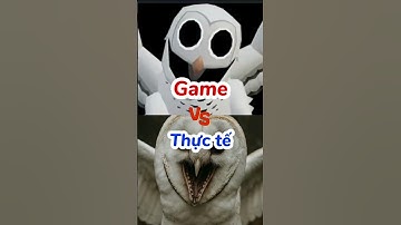 (Phần 2) Game và Thực tế trong 99 Nights in the forest CÓ GÌ KHÁC ?