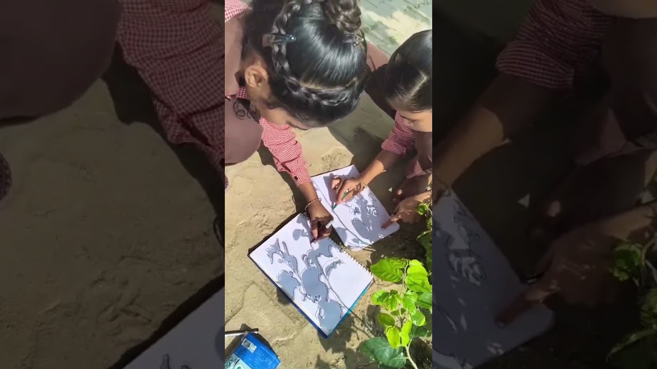 exploring space through shadows activity