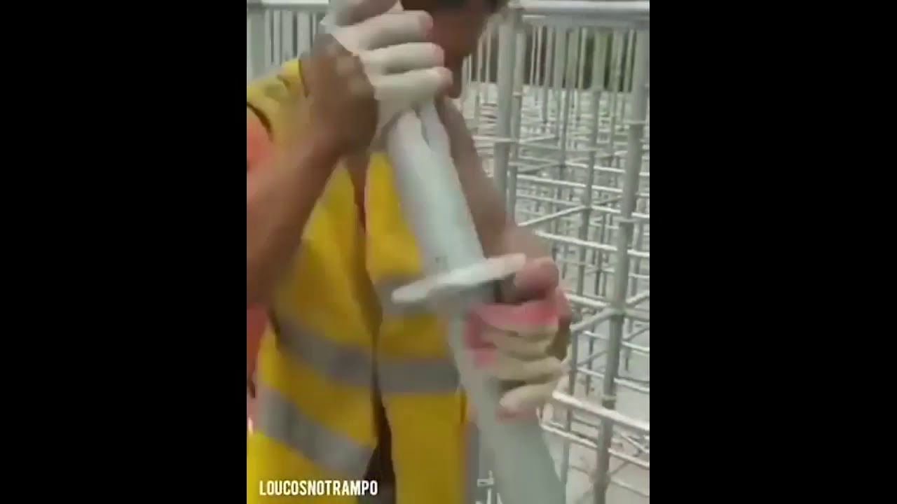 PORUSZANIE SI PO YOUTUBE visual data 5