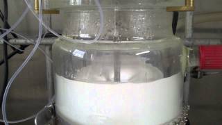 Pickering Emulsion