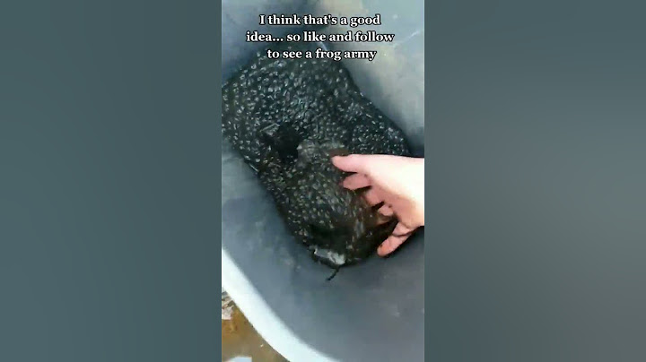 FROG ARMY WILL DESTROY PLANET EARTH