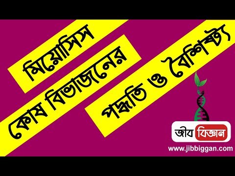 মিয়োসিস কোষ বিভাজন পদ্ধতি ও বৈশিষ্ট্য ।