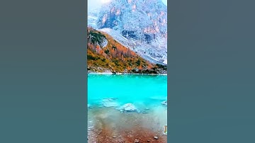 سورة الأنبياء و..كا.نك تسمعها لأ،،و.ل مر.ة❤️💓..🌸💚💘🌼؛💟بصوت الشيخ حمزة مد؛بو.ح ❣️💮،،🌸،؛🌼❤️؛.💙🌷💐