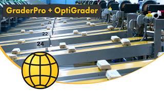 Inside A 5 Million Eggsday Egg Grading Plant Graderpro & Optigrader Sanovo