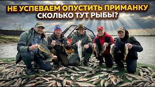 УТОПИЛИ ОПЕРАТОРА 😱 НЕ УСПЕВАЕМ ОПУСТИТЬ ПРИМАНКУ! СКОЛЬКО ТУТ РЫБЫ? АСТРАХАНЬ 2026. ДЕНЬ 4