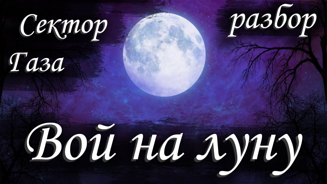 Сектор газа песни вой. Вой на луну. Сектор газа вой на луну аккорды. Группа сектор газа вой на луну. Сектор газа вой на луну обложка.