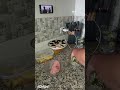                                                                  نجومي