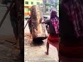 Wood Log Cutting Process – Splitting Large Timber Using Powerful Saw Technology