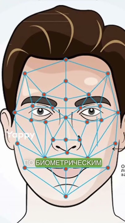 Светофор с биометрией - YouTube