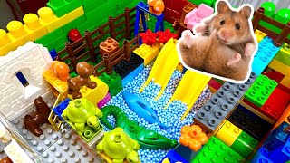 Hamster Maze in Lego Land Puzzle Challenge Obstacle Course for Hamster