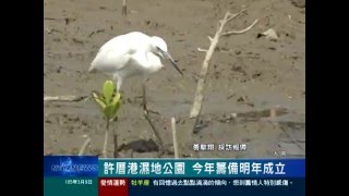 桃園有線新聞20160309-許厝港濕地公園 今年籌備明年成立