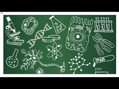 Урок 1. Часть 2 Клеточная теория. Сравнительная характеристика клеток разных царств.