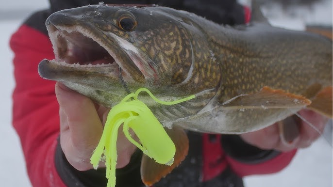 Best Ice Fishing Lures: 21 Lure Underwater Showdown 