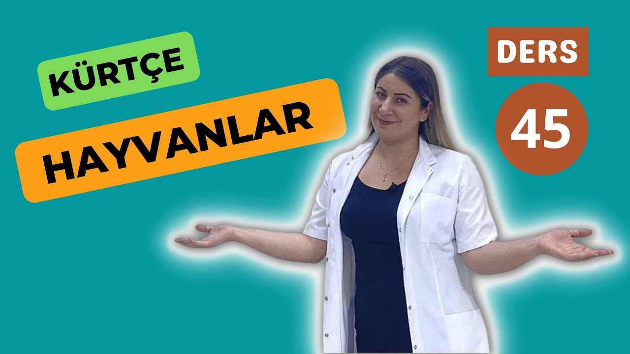Kürtçe HAYVANLAR! Ders 45 #kürtçe #kurdî #kurmancî #kürtçeders #kelime #kürtçeöğreniyorum