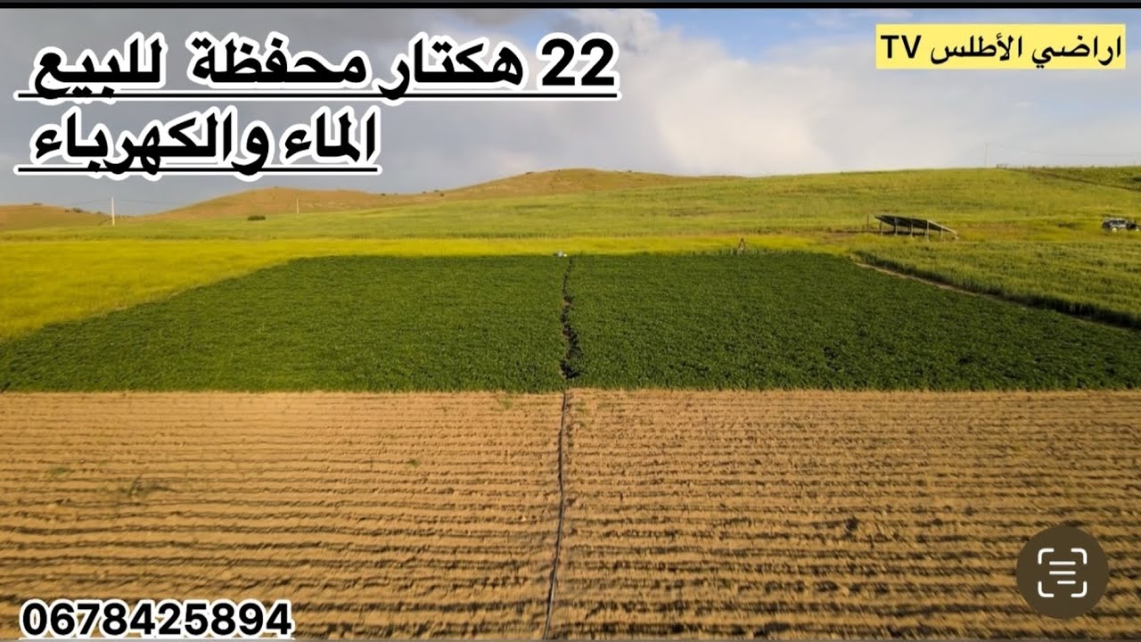 ارض فلاحية محفظة للبيع 22 هكتار الماء والكهرباء على بعد 1.5 من الطريق تمن البيع 11 مليون للهكتار