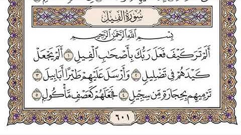 105_ سورة الفيل _مكتوبة _ محمد أيوب