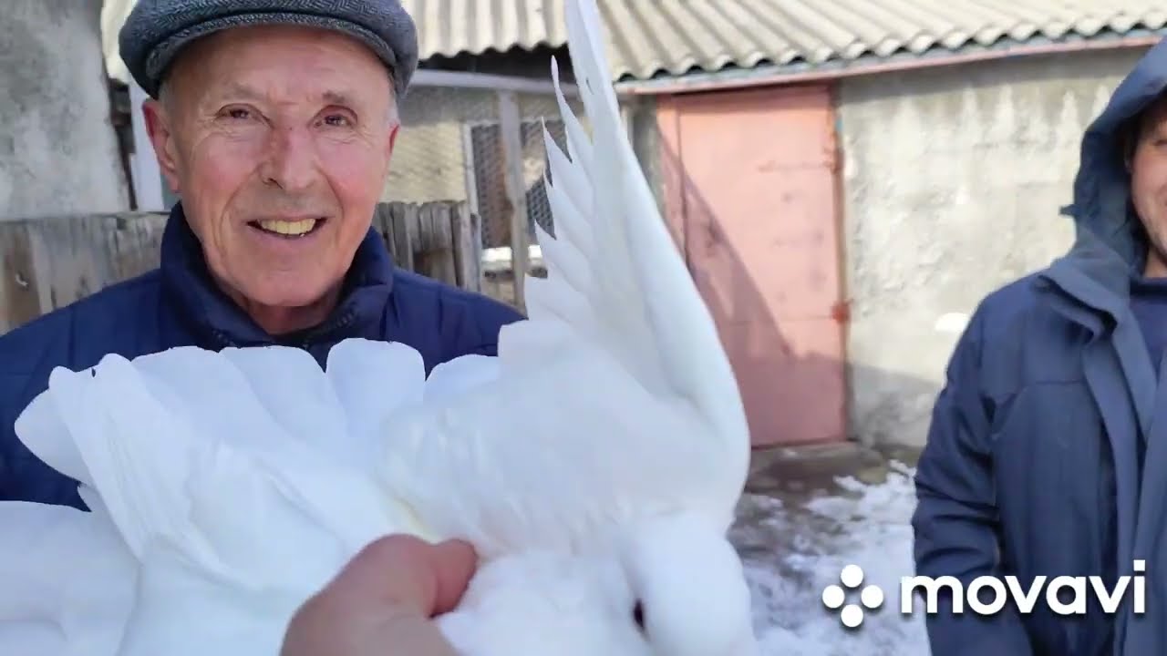 26 февраля 2025 г.Голуби Донецка.В гостях у Александра Сайфудинова.