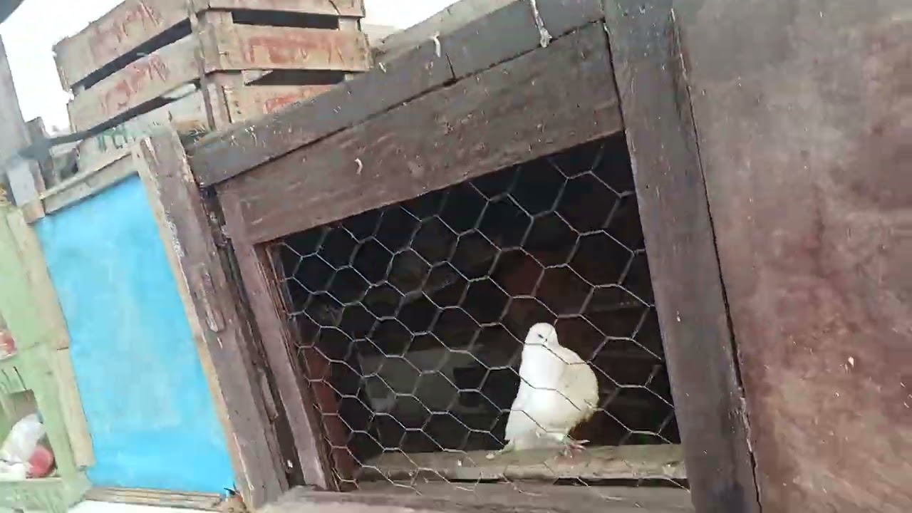 حمام سيفيانوس المغربي أصيل توليعة صباحية اليوم الجو خوتي صافي زويون طلقت الحميمات  إيطيرو 