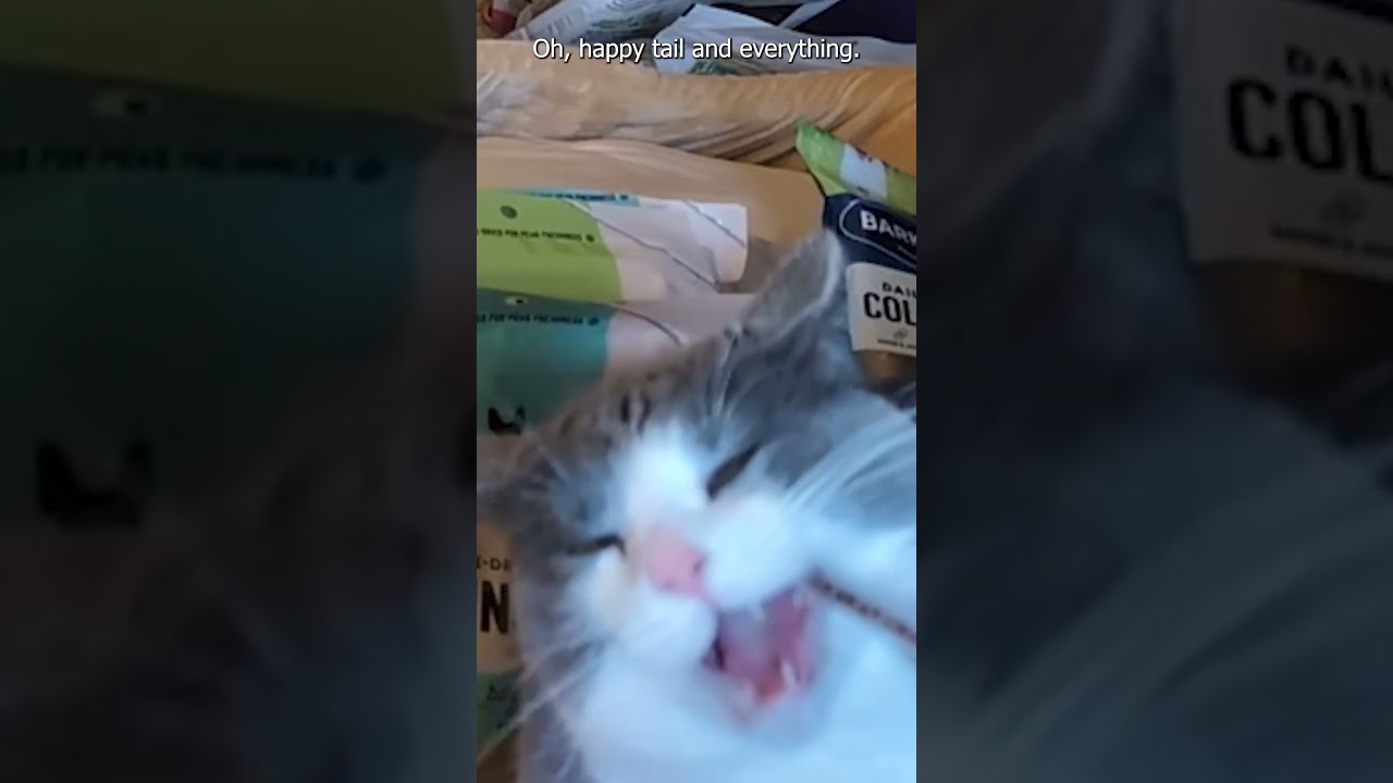 Skittermander Chomps 