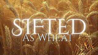 Sifted As Wheat - NEVA