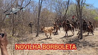 (DRONE)7⁰ CORRIDA DA NOVILHA BORBOLETA NO CURRAL DO BOI SALGADINHO