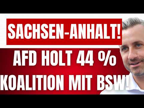 WEIDEL zum WAHLERGEBNIS in SACHSEN-ANHALT! 44 % AfD! - MERZ erkennt WAHL nicht AN