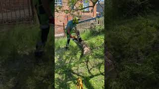 Arborist Work #ProArboristExtreme#ChainsawWork#TreeCutting#RealWork#ExtremeWork