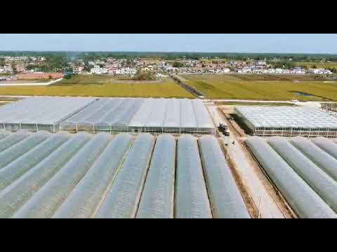 Manufacturer of Greenhouse Equipment, Greenhouse Accessories, Hydroponic